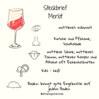 Merlot - wie schmeckt die Rebsorte - zu welchem Essen passt der Wein
